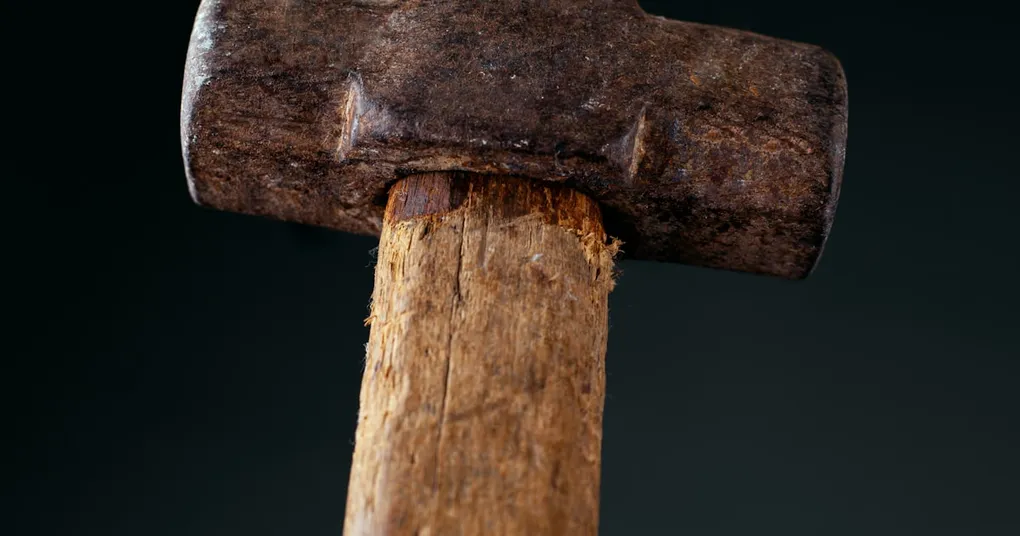 A photo of a person bidding on a seized asset at an online auction site